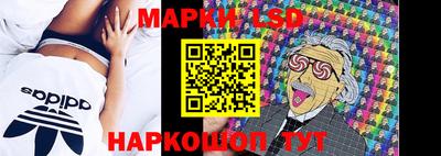 дмт Краснодар