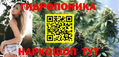дмт Краснодар